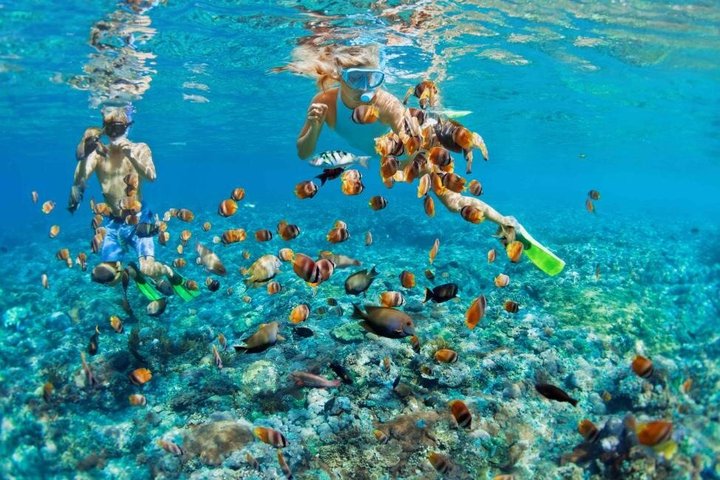 Bali Blue Lagoon Snorkeling with Lunch & Private Hotel Transfer