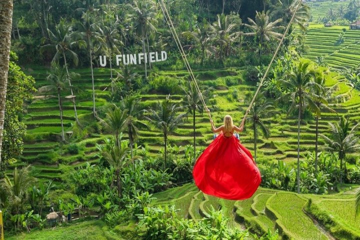 Ubud: Zipline, Bali Swing, and Sky Bike in a Private Rice Terrace