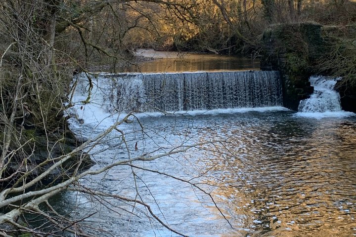 Bushcraft Taster Session in South Wales
