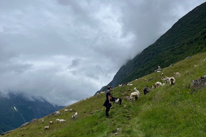 Olden: Scenic glacier and Waterfall Tour with Snacks