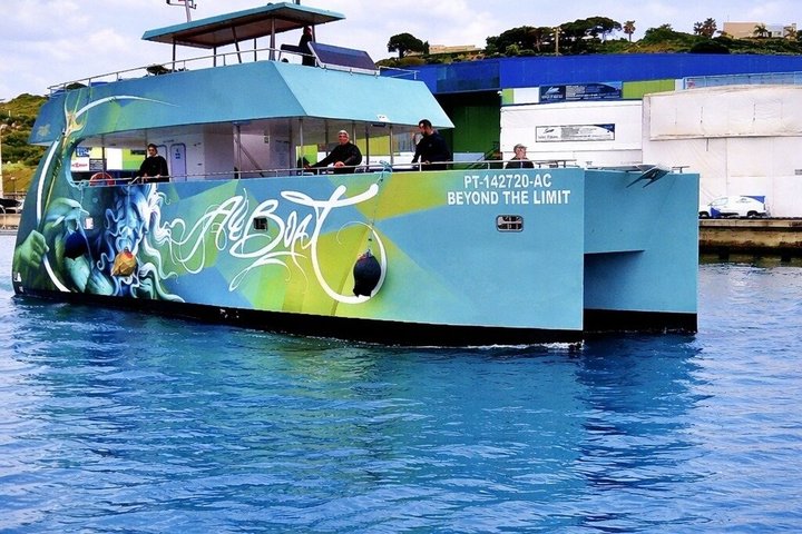 Dolphins Search and Benagil Caves from Albufeira
