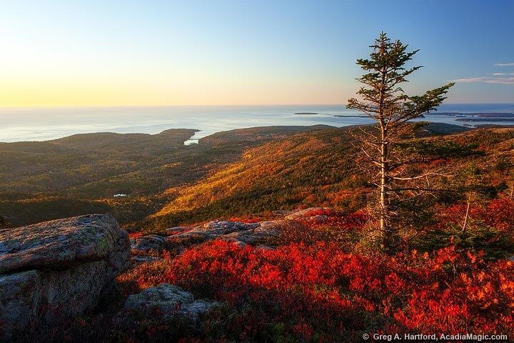 Brewed Awakening Cadillac Mountain Sunrise Tour