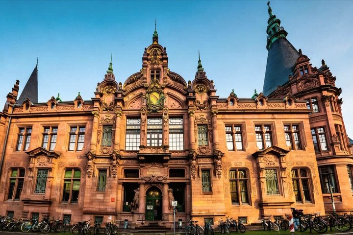 Hello Heidelberg: Private 2-Hour Intro City Walk with Local Guide