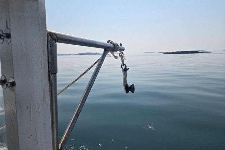 Belfast Lobster Fishing Experience and Feast Mid Coast Maine