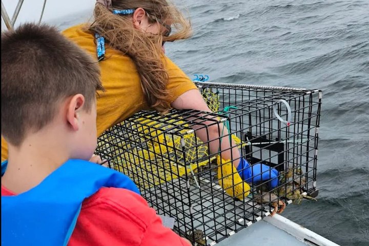 Belfast Lobster Fishing Experience and Feast Mid Coast Maine