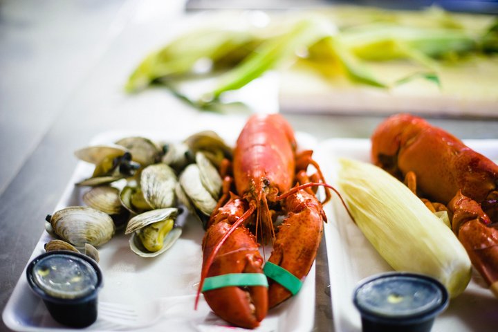 Belfast Bay Cruise with Lobster Rolls Small Group Experience
