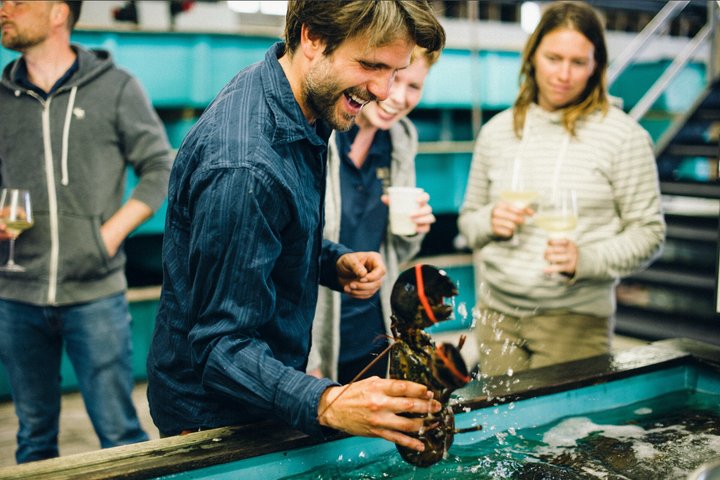 Belfast Bay Cruise with Lobster Rolls Small Group Experience