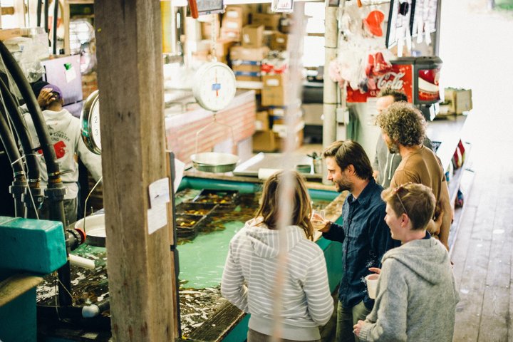 Belfast Bay Cruise with Lobster Rolls Small Group Experience
