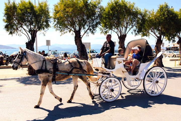 Athens cruise: Agistri, Moni/Metopi, Aegina with lunch & drinks