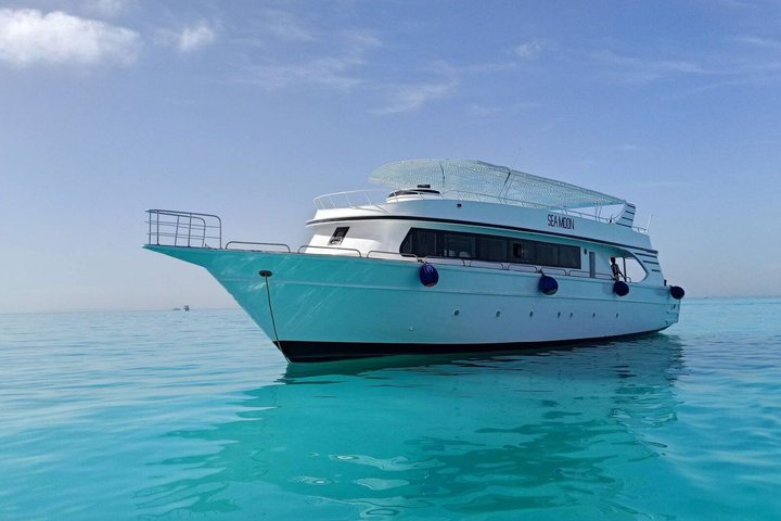 Hurghada: VIP Seafood Yacht to 3 Islands, Dolphins & Snorkeling