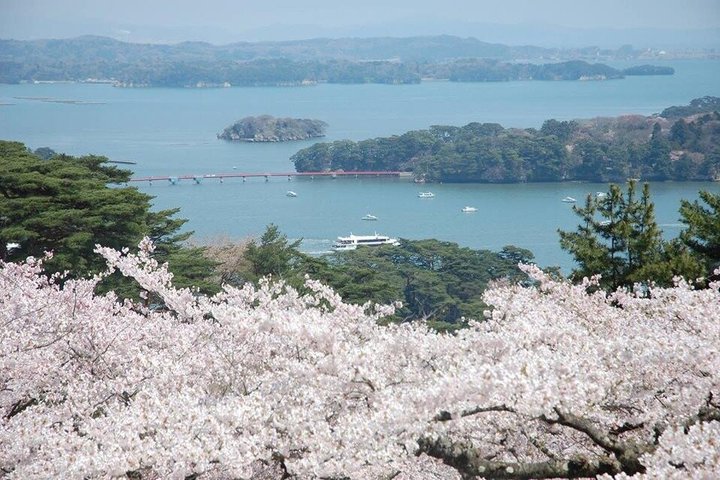 Day Tour from Sendai Matsushima Bay Scenic Highlights