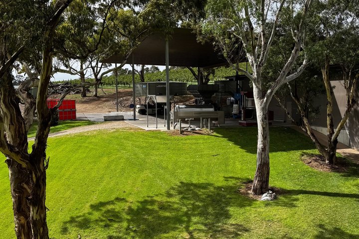 Discover Barossa: 4 Wine Tastings, Gourmet Lunch, and Hidden Gems