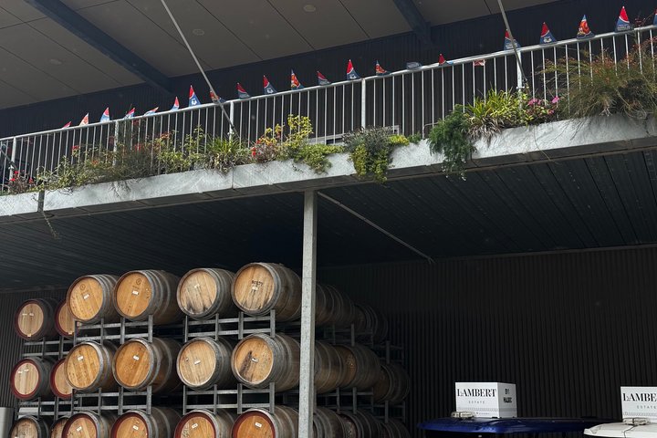 Discover Barossa: 4 Wine Tastings, Gourmet Lunch, and Hidden Gems