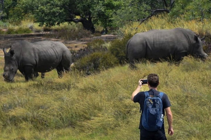 Full-Day Matobo Rhino Tracking & Rock Art from Bulawayo