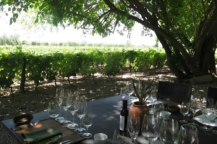 Private Mendoza WineTour: 3 Premium Wineries Michelin-Guide Lunch