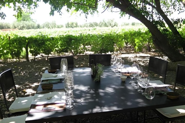 Private Mendoza WineTour: 3 Premium Wineries Michelin-Guide Lunch