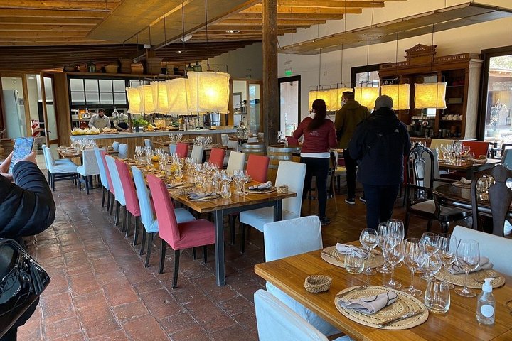Private Mendoza WineTour: 3 Premium Wineries Michelin-Guide Lunch