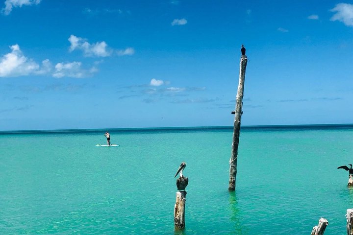3 Islands tour Holbox . (Yalahau and more)