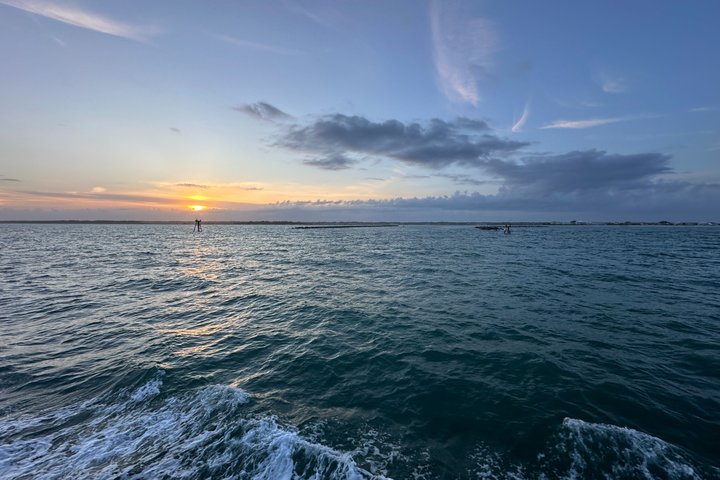 Ocean Sunset Dolphin & Sealife Cruise in Murrells Inlet
