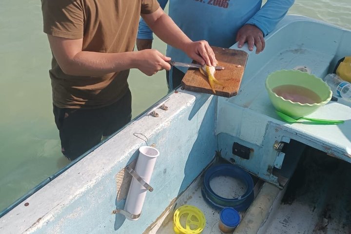 Cabo Catoche Tour with Fishing, Snorkeling and Ceviche