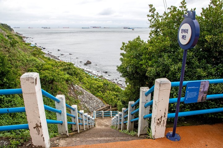 Busan Top Coastal Highlights with Gamcheon Village & Sky Capsule