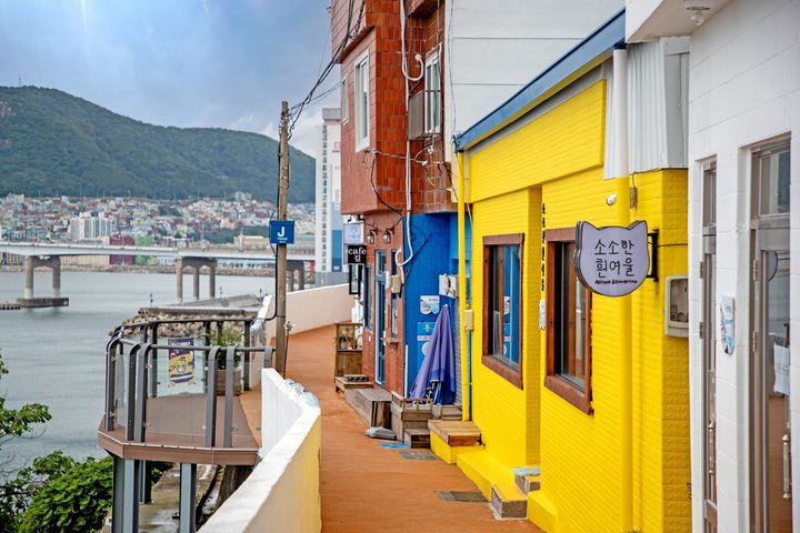 Busan Top Coastal Highlights with Gamcheon Village & Sky Capsule