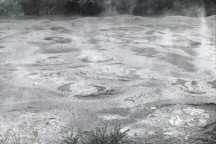 Rotorua Cultural and Geothermal Wonderland Tour – Depart Tauranga