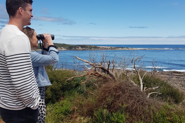 Margaret River Small-Group Curated Wine, Coffee, Lunch & Forest