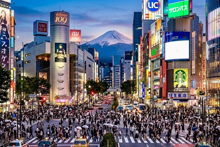 Tokyo Private Discovery Tour | Unique Insights & Must Sees