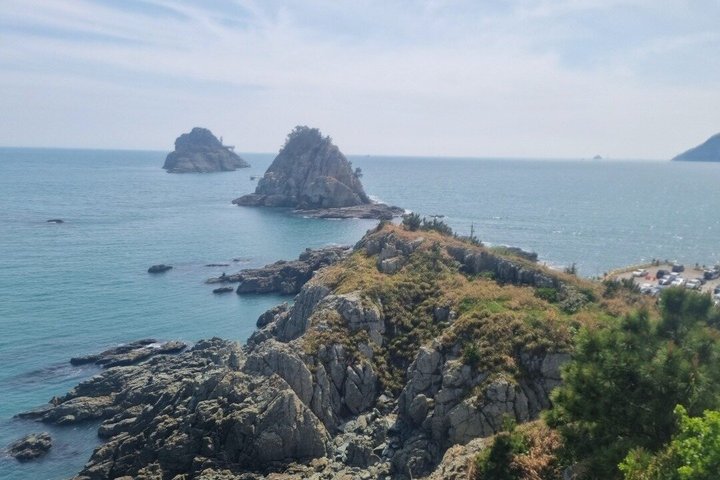 Busan- Private Tour with hidden tourist attractions