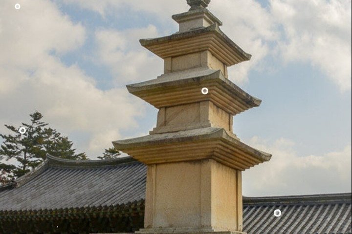 Busan- Private Tour with hidden tourist attractions
