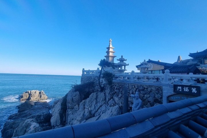 Busan- Private Tour with hidden tourist attractions