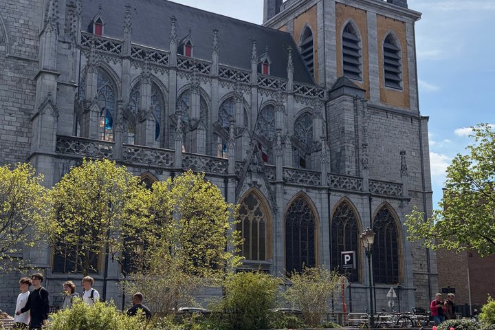 Guided tour of Liège city centre in 2 hours