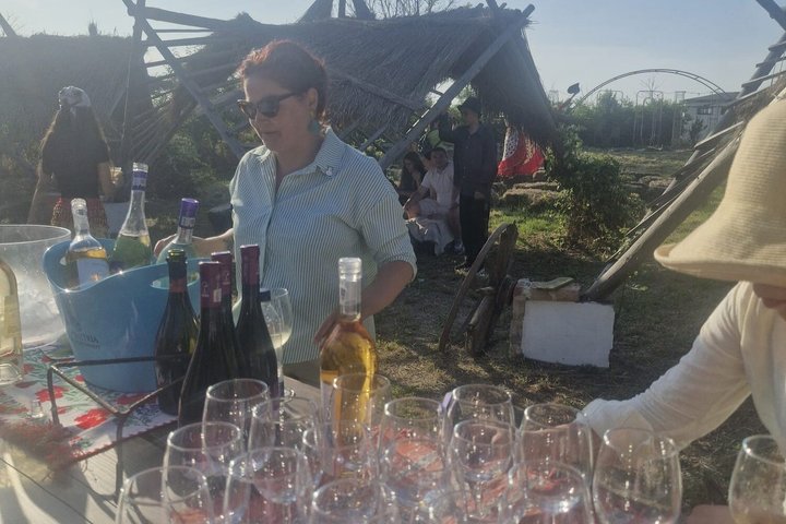Golden Hour Guided Tour: Histria Citadel & Local Wine Tasting