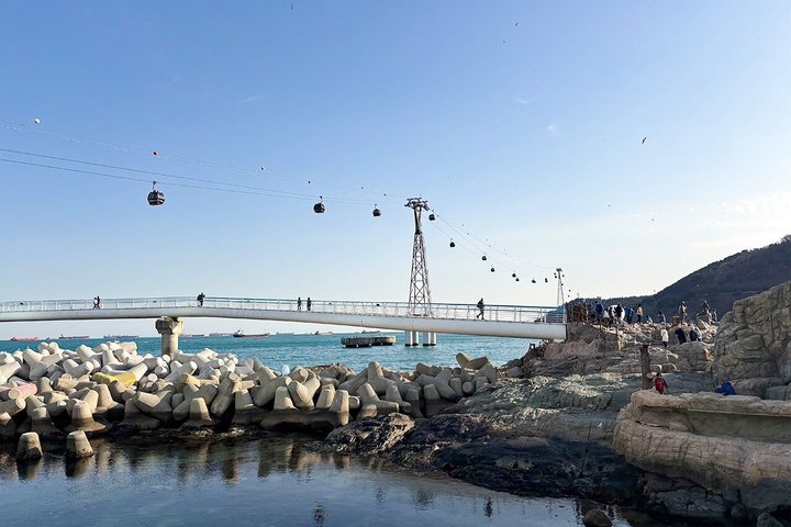 Guaranteed Return - Busan Shore Excursion for Cruise Guests