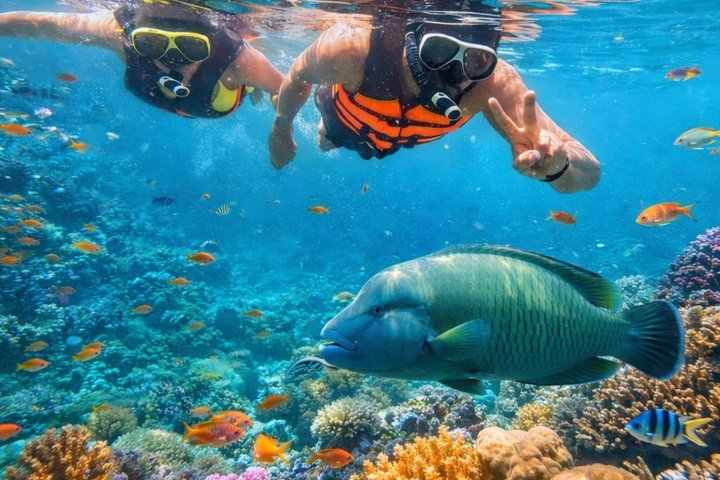 Koh Samui: Angthong National Marine Park 42-Island Speedboat Tour
