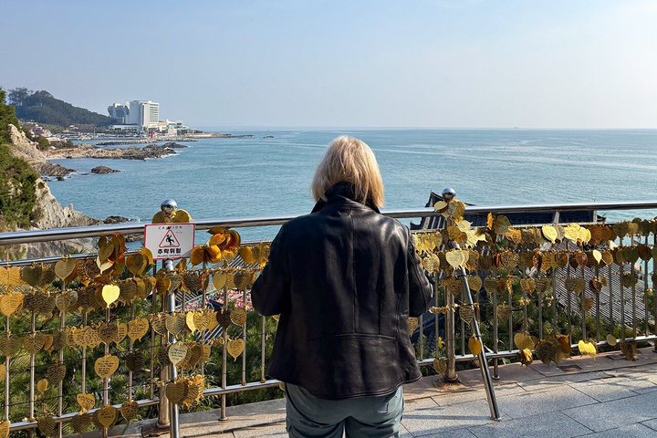 Authentic Busan Full-Day City Highlights Tour