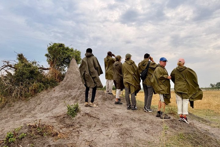 Mokoro Full Day Trip-Okavango Delta