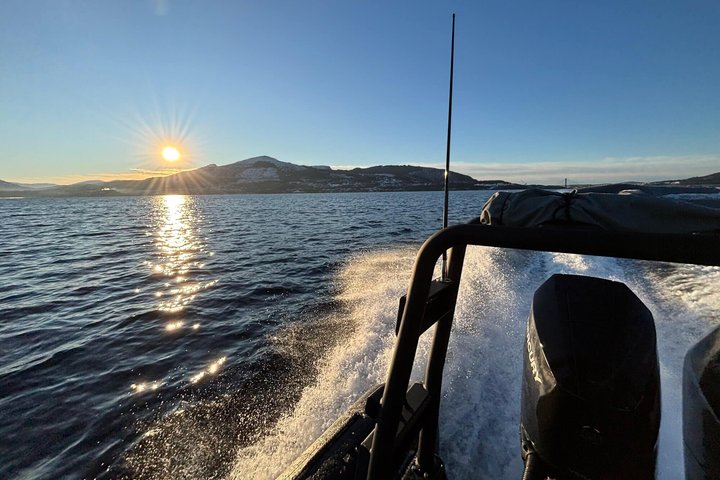 Bergen: Mostraumen Fjord Safari - by Premium RIB Boat