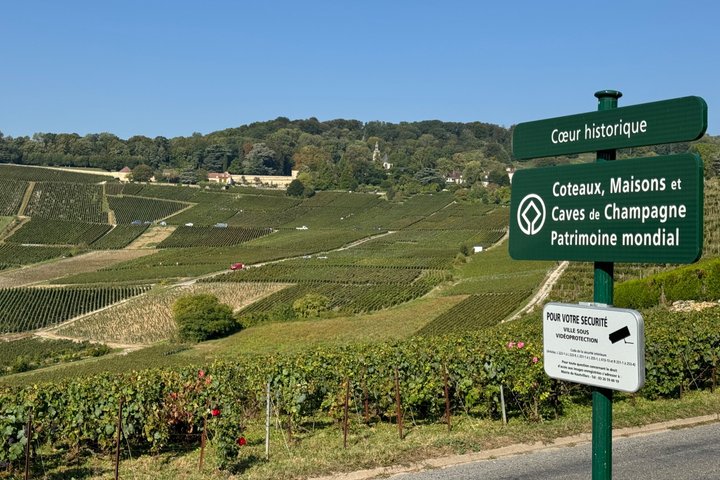 Exclusive Champagne Cellars & Dom Perignon Vineyards tour - Reims