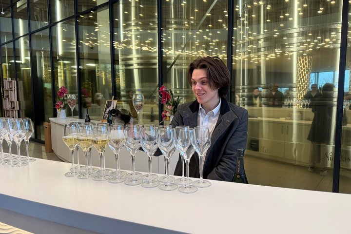 Exclusive Champagne Cellars & Dom Perignon Vineyards tour - Reims