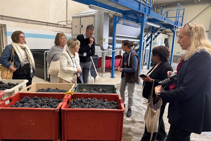 Exclusive Champagne Cellars & Dom Perignon Vineyards tour - Reims