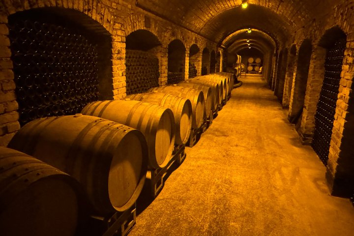 Exclusive Champagne Cellars & Dom Perignon Vineyards tour - Reims