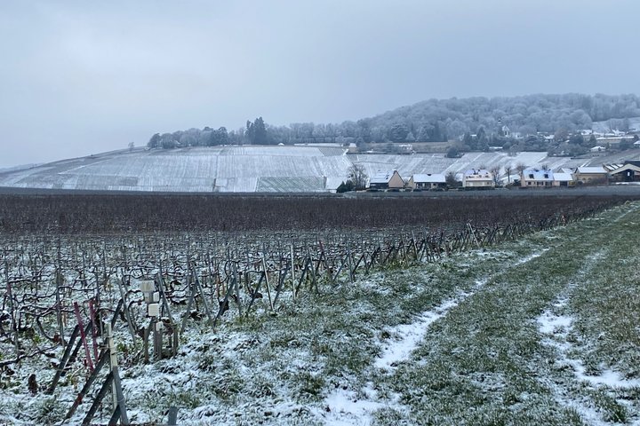 Exclusive Champagne Cellars & Dom Perignon Vineyards tour - Reims