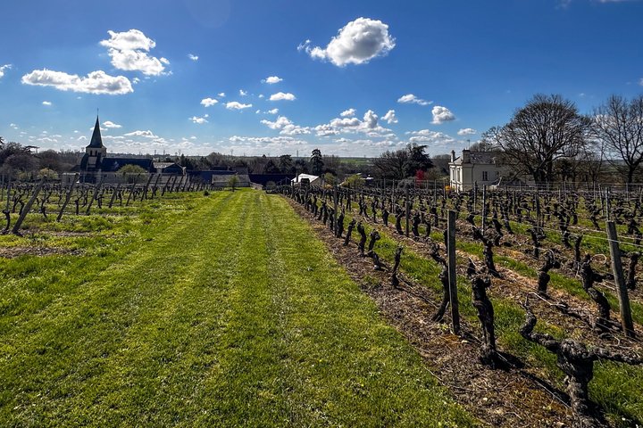 From Vine to Wine at Domaine Beaumont Distré-Saumur