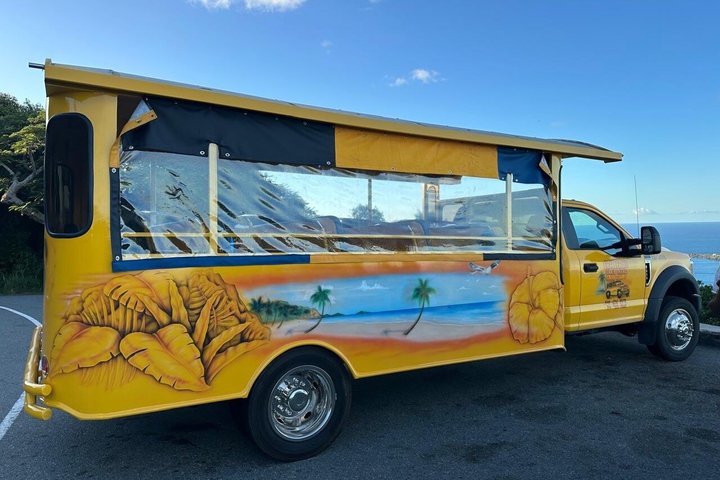 The Best of St Thomas Private Sightseeing Tour