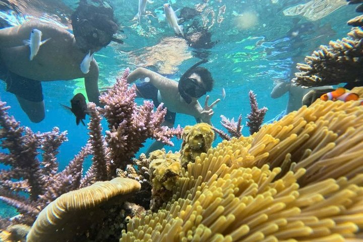 Nha Trang Full Day Snorkeling Tour with Water Slide
