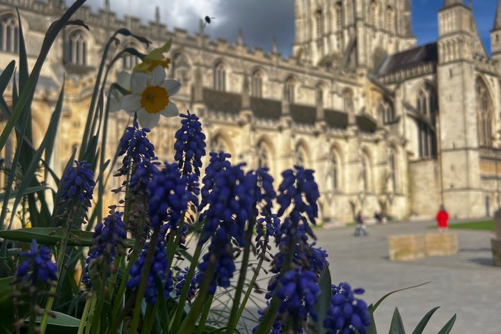 Historical Gloucester Tour
