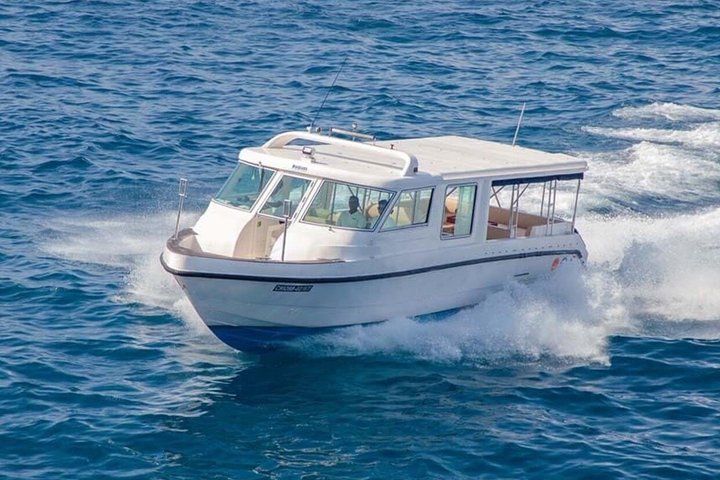 Maldives: Snorkeling with Nurse Sharks, Coral Reef, Sandbank Tour