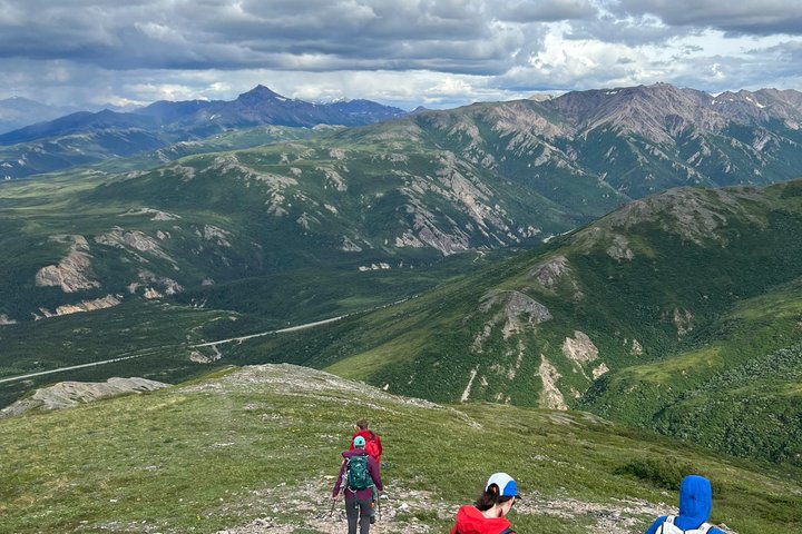 Denali Alaska Range 5hr Mountain Hike w/Views & Naturalist Guide